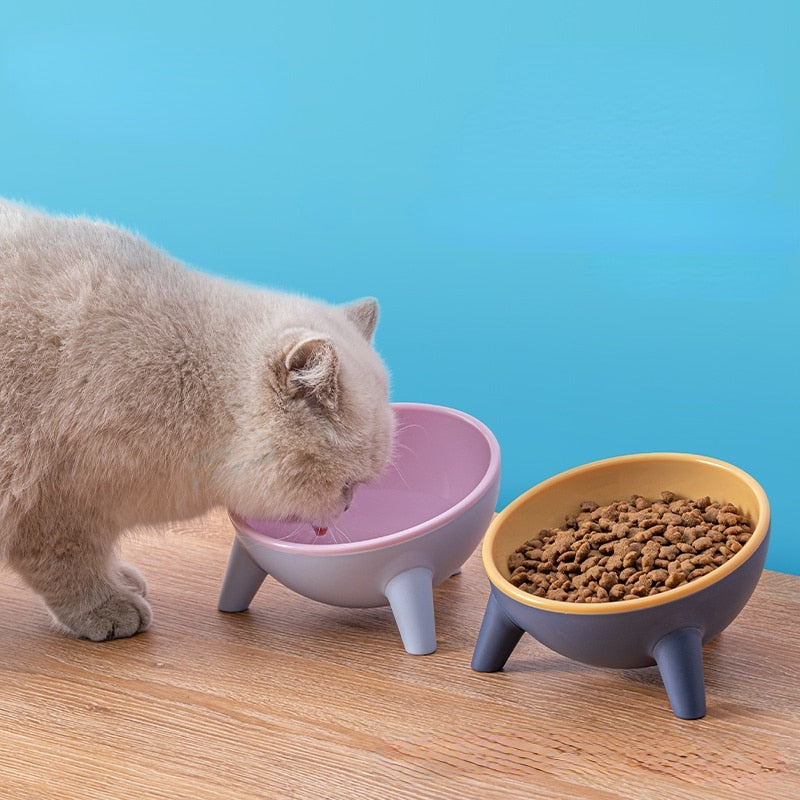 Catonomy: Purr-fect Finds