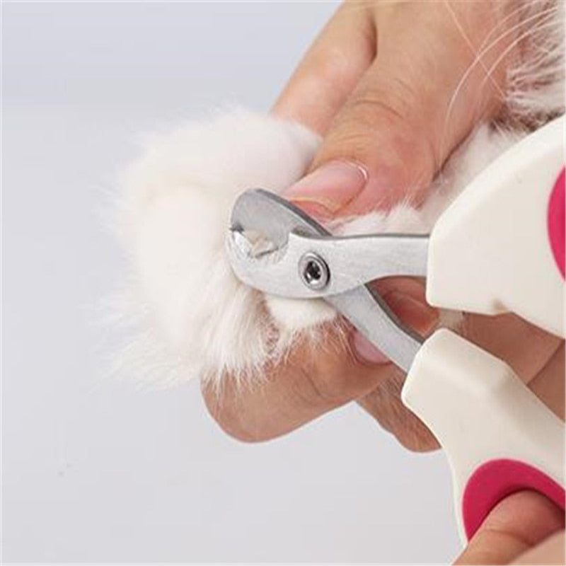 Cat Grooming Hair Removing Brush-Catonomy-Catonomy