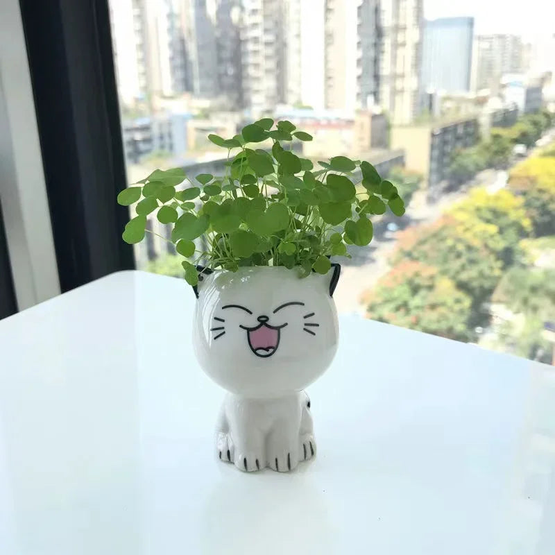 Mini Cute Cat Cartoon Decorative Ceramic Flowerpot-Catonomy-Laughing Cat-Catonomy