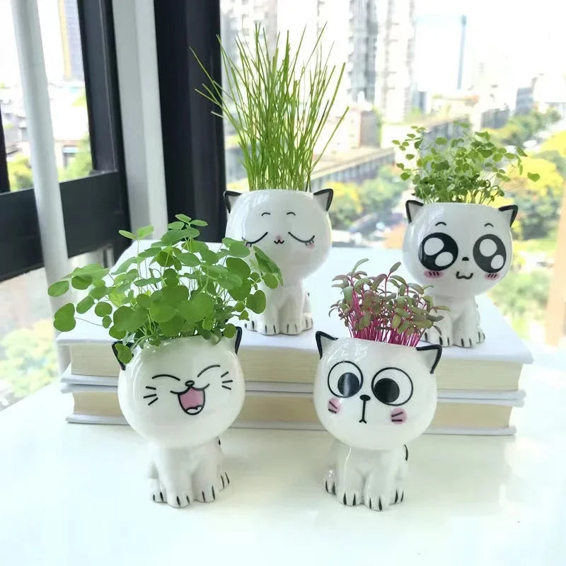 Mini Cute Cat Cartoon Decorative Ceramic Flowerpot-Catonomy-Catonomy