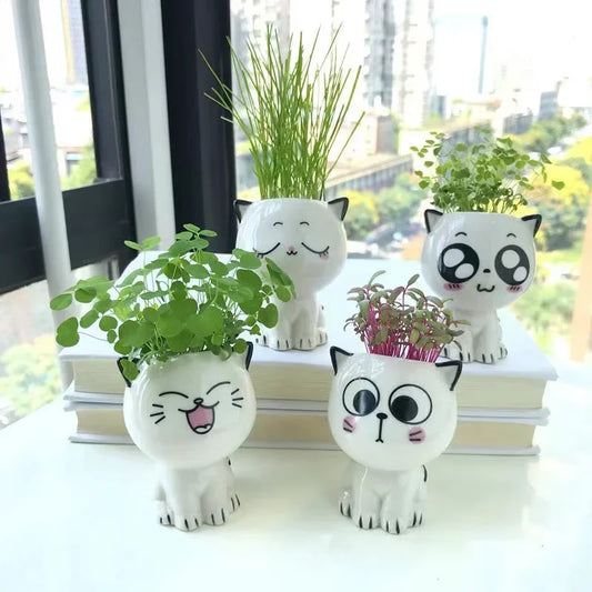 Mini Cute Cat Cartoon Decorative Ceramic Flowerpot-Catonomy-Catonomy